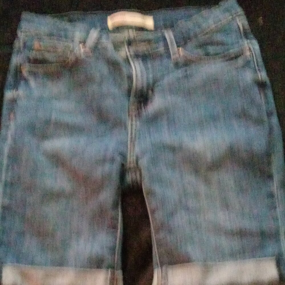 Levi Bermuda Shorts